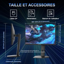 Minifire Écran Gaming 24.5 Pouces,300Hz/240Hz, QHD (2560 * 1440) réglable en Hauteur, MPRT 1ms avec Panneau Fast IPS 10 Bits, sR