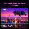 Minifire Écran PC 24 Pouces, IPS, FHD (1920x1080), 100Hz sRGB 110%, Protection des Yeux, Design Ultra-Fin, Ports USB-C & HDMI 1.