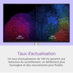 Dell P2425H 24" Full HD (1920x1080) Écran PC, 100Hz, IPS, 5ms, 99% sRGB, USB-C, DisplayPort, HDMI, VGA, 4X USB, Garantie 3 Ans, 