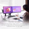 Dell P2422H 24" Full HD (1920x1080) Écran PC, 60Hz, IPS, 5ms, 99% sRGB, DisplayPort, HDMI, VGA, 5x USB, Garantie 3 ans, Noir