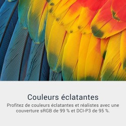 Dell 34 Plus USB-C Écran PC - S3425DW, WQHD (3440x1440), 21:9 Incurvé, 120Hz, VA, 1ms, AMD FreeSync Premium, HDR10, Réglage en H