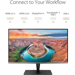 ASUS ProArt PA32UCG-K - Ecran PC 32'' 4K IPS MiniLED - 3840x2160 - 120Hz - 1600cd/m² - Display Port, 3x HDMI, 2xUSB-C Thunderbol