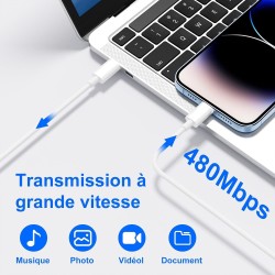 ZMHPJQ 1M Câble USB C Lightnning[Certificat MFi] Rapide Type C Câble Charge Chargeur Type C Câble Chargeur pour iPhone 14 13 12 