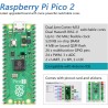 Freenove Basic Starter Kit for Raspberry Pi Pico 2 (Included), Dual Arm Cortex-M33 and Dual Hazard3 RISC-V Microcontroller, 386-