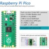 Freenove Basic Starter Kit for Raspberry Pi Pico (Included), Dual-Core Arm Cortex-M0+ Microcontroller, 386-Page Detailed Tutoria
