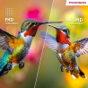 Thomson go plus 32 pouces (81 cm), android portable 4k uhd – écran tactile, wi-fi 6, bleutooth 5.1, commande vocale, hotspot, ba