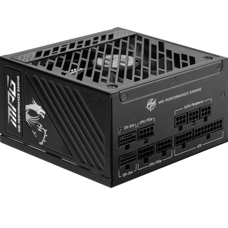 Msi mpg a850gs pcie5 bloc d'alimentation prise eu, 850w, certifié 80 plus or, atx 3.1, compatible pcie 5.1, deux câbles 12v-2x6 