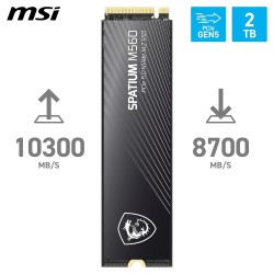 MSI SPATIUM M560 SSD 2TB - Disque SSD Interne 2 to PCIe 5.0 NVMe M.2, Lecture 10300 MB/s, Écriture 8700 MB/s, 3D NAND, Sécurité 
