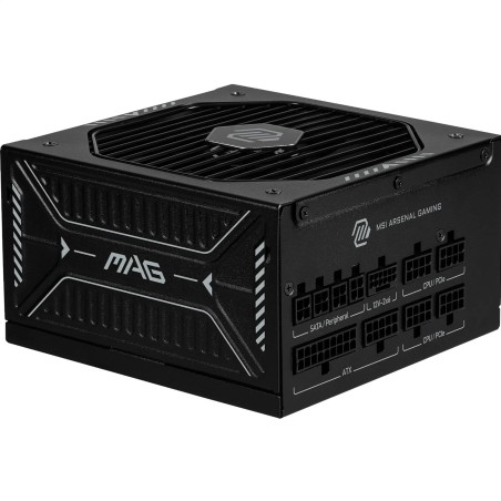 Msi mag a1000gls pcie5 alimentation pc, 1000w, atx, 80 plus or, atx 3.1, compatible pcie 5.1, connecteur natif 12v-2x6 bicolore,