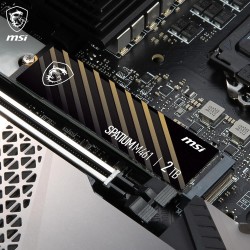 MSI SPATIUM M461 PCIe 4.0 NVMe M.2 2TB - Disque SSD Interne 2 to, PCIe 4.0 NVMe M.2, Lecture 5000 MB/s & Écriture 4200 MB/s, 3D 