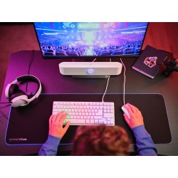 Trust Gaming GXTrust 1619W Rhox Barre de Son Éclairée RGB, Enceintes Stéréo 2.0 Éclairage LED, 12W, Alimentation USB, Câble AUX 