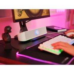 Trust Gaming GXTrust 1619W Rhox Barre de Son Éclairée RGB, Enceintes Stéréo 2.0 Éclairage LED, 12W, Alimentation USB, Câble AUX 
