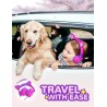 iClever Casque Audio Enfant, d'oreilles de Chat avec Éclairage LED, Volume Limité 85dba, Son Stéréo, Casque d'Écoute pour Enfant