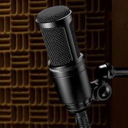 Audio-Technica AT2020 Microphone Cardioïde à Électret Noir