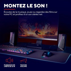 Trust Gaming GXT 609 Zoxa Système d'Enceintes, Haut-parleurs Gamer, 6 Modes d'Éclairage RGB, 12 W, Alimentation USB, Système Aud