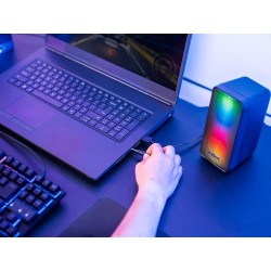 Trust Gaming GXT 611 Wezz Enceinte PC Gamer 2.0, Éclairage LED RGB, 12 W (6 W RMS), Alimentation USB, Connexion 3,5 mm, Contrôle