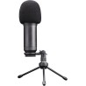 Trust Gaming GXT 252+ Emita Plus Bras Micro PC Cardioïde, Filtre Anti-Pop - Microphone USB pour Podcast, Streaming - Perche Micr