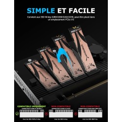 SABRENT Carte d'adaptateur à 4 disques NVMe SSD vers PCIe 4.0 X 16 avec Refroidissement Actif [EC-P4BF]