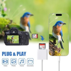 AXFEE 2en1 USB C Lecteur de Carte SD, Adaptateur Micro SD vers Type C OTG, Adaptateur Carte de Caméra SD pour Cartes SDHC SDXC T