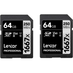 Lexar Professional 1667x Lot de 2 cartes mémoire SD SDXC UHS-II, jusqu'à 250 Mo/s en lecture, 120 Mo/s en écriture, classe 10, U