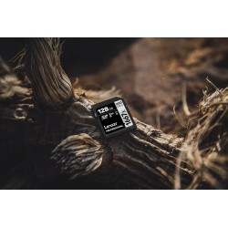 Lexar Professional 1667x Carte SD 128Go, Carte Memoire SDXC UHS-II, Jusqu'à 250 Mo/s en lecture, Class 10, U3, V60, SD pour phot