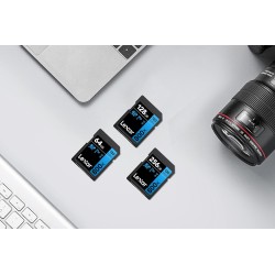 Lexar High-Performance 800x Carte SD 128Go, Carte Memoire SDXC UHS-I, Jusqu'à 120 Mo/s en Lecture, 45 Mo/s en écriture (LSD08001