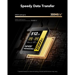 Lexar Professional 2000x Carte SD 512 Go, Carte mémoire SDXC UHS-II sans Lecteur, Jusqu'à 300 Mo/s en Lecture, pour DSLR, caméra