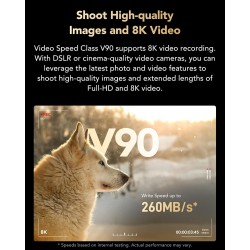 Lexar Professional 2000x Carte SD 512 Go, Carte mémoire SDXC UHS-II sans Lecteur, Jusqu'à 300 Mo/s en Lecture, pour DSLR, caméra