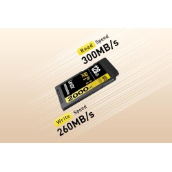 Lexar Professional 2000x Carte SD 128Go, Carte mémoire SDXC UHS-II sans Lecteur, Jusqu'à 300 Mo/s en Lecture, pour DSLR, caméras