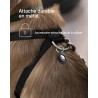 Belkin Anneau de Protection étanche avec Attache en métal pour AirTag (Protection Durable et antirayure, pour Porte-clés, Collie