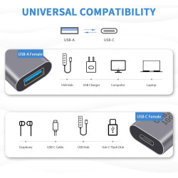 Duttek Adaptateur USB C Femelle vers USB Femelle 3.1 Gen2, USB A vers Type C Adapter 10Gbps Prise en Charge de la synchronisatio