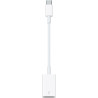 Apple Adaptateur USB-C vers USB