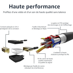 Amazon Basics Câble adaptateur HDMI-A vers DVI (mâle), bidirectionnel 1080p, plaqué or, 1.8 m, pour télévision, noir