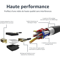 Amazon Basics Câble adaptateur HDMI-A vers DVI, Bidirectionnel 1080P, Plaqué or, 0.9 m, lot de 10, Noir