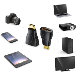 deleyCON Adaptateur HDMI vers Mini HDMI - Femelle HDMI vers Prise Mini HDMI Adaptateur Vidéo 1920x1200 Full HD 1080p - Noir