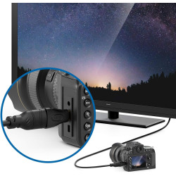 deleyCON Adaptateur HDMI vers Mini HDMI - Femelle HDMI vers Prise Mini HDMI Adaptateur Vidéo 1920x1200 Full HD 1080p - Noir