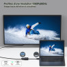 BENFEI Adaptateur HDMI vers VGA, (mâle vers Femelle) pour Bureau, Ordinateur Portable, PC, Moniteur, projecteur, HDTV, Chromeboo