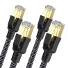 CABNEER Câble Ethernet 3 m 2 Pièces, RJ45 Cat 8 Câble Réseau 40Gbps 2000MHz Haut Débit Câble, Nylon Tressé Double Blindage LAN C