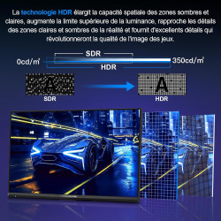 Minifire Écran Gaming 24.5 Pouces,300Hz/240Hz, QHD (2560 * 1440) réglable en Hauteur, MPRT 1ms avec Panneau Fast IPS 10 Bits, sR
