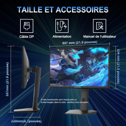 Minifire Écran Gaming 24.5 Pouces,300Hz/240Hz, QHD (2560 * 1440) réglable en Hauteur, MPRT 1ms avec Panneau Fast IPS 10 Bits, sR