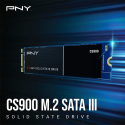 PNY CS900 M.2 SATA III SSD Interne 500Go, Vitesse de Lecture jusqu'à 550 Mo/s, Vitesse d'Ecriture jusqu'à 500 Mo/s