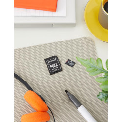 Kingston Canvas Select Plus Carte MIcro SD SDCS2/512GB Class 10 + Adaptateur inclus