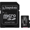 Kingston Canvas Select Plus Carte MIcro SD SDCS2/256GB Class 10 + Adaptateur inclus