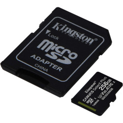 Kingston Canvas Select Plus Carte MIcro SD SDCS2/256GB Class 10 + Adaptateur inclus