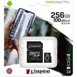 Kingston Canvas Select Plus Carte MIcro SD SDCS2/256GB Class 10 + Adaptateur inclus