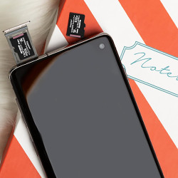 Kingston Canvas Select Plus Carte MIcro SD SDCS2/256GB Class 10 + Adaptateur inclus