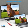 BENFEI Hub USB C 7 en 1, Adaptateur multiport USB-C, avec HDMI (certifié 4K @ 60Hz), Alimentation 100 W, 3 Ports USB 3.0 5 Gbps/