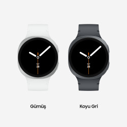 Samsung galaxy watch8 silver montre intelligente bleutooth 44 mm