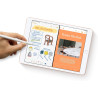 2019 Apple iPad (10,2-pouces, Wi-Fi + Cellulaire, 128 Go) Or (Reconditionné)