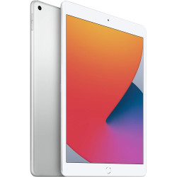 2020 Apple iPad (10,2-pouces, Wi-Fi, 32 Go) Argent (Reconditionné)